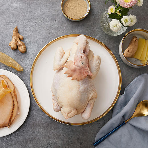 天农清远鸡皇后鸡1kg  长天龄生态慢养走地鸡老母鸡供港品质 商品图4