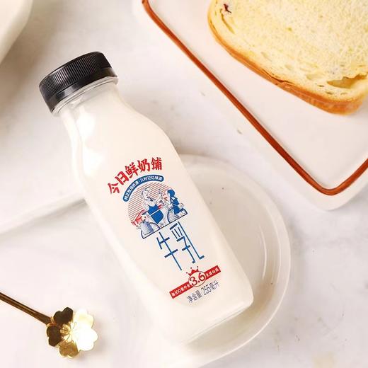 新希望今日鲜奶铺＆奶寻鲜酪乳纯牛奶早餐奶组合装 商品图4