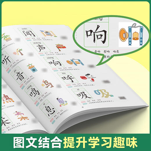 【斗半匠】学前识千字 象形字1314字 3-6岁幼小衔接 商品图2