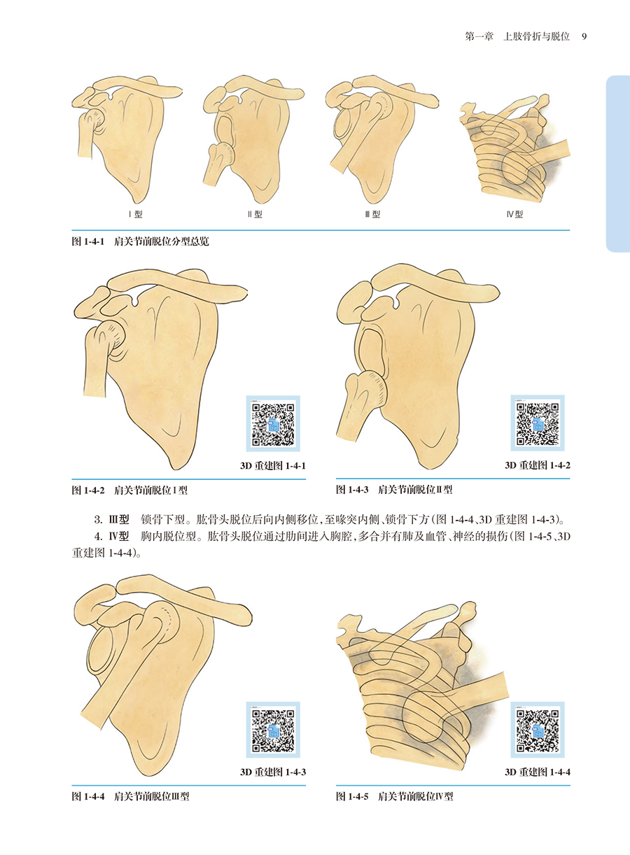 33687(yz) (9).jpg