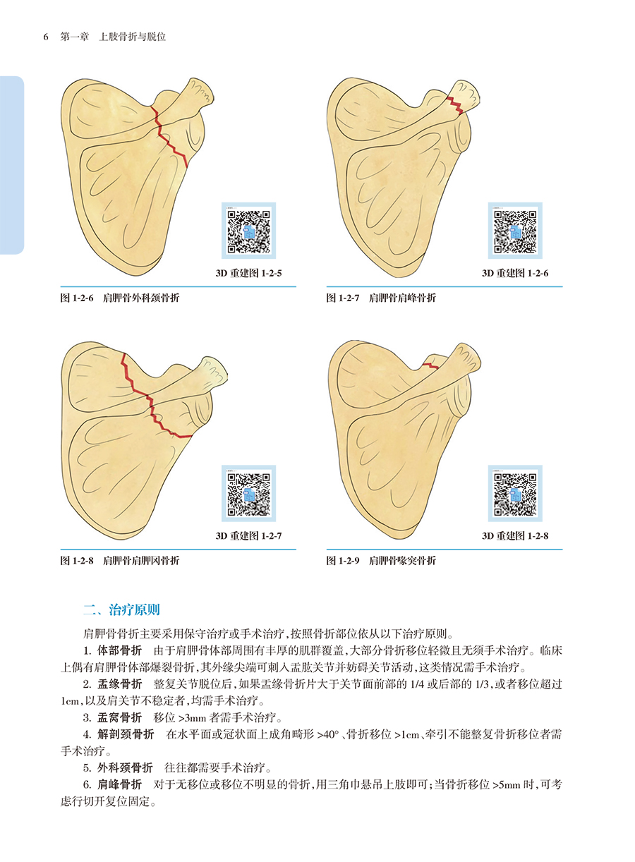 33687(yz) (6).jpg