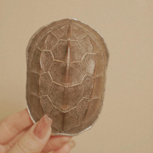 【百年制锡 乾茂号】五帝化煞 富甲天下茶则  锡铜五帝钱手工制作（尺寸大小随机） 商品图0