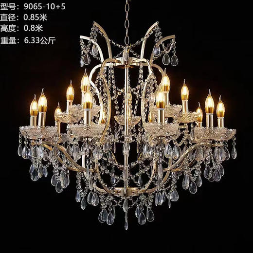 9065-10+5吊灯（运费自理） 商品图0