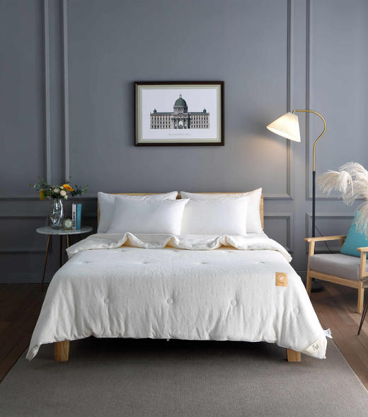 【远梦】植选大豆软软冬被 商品图0