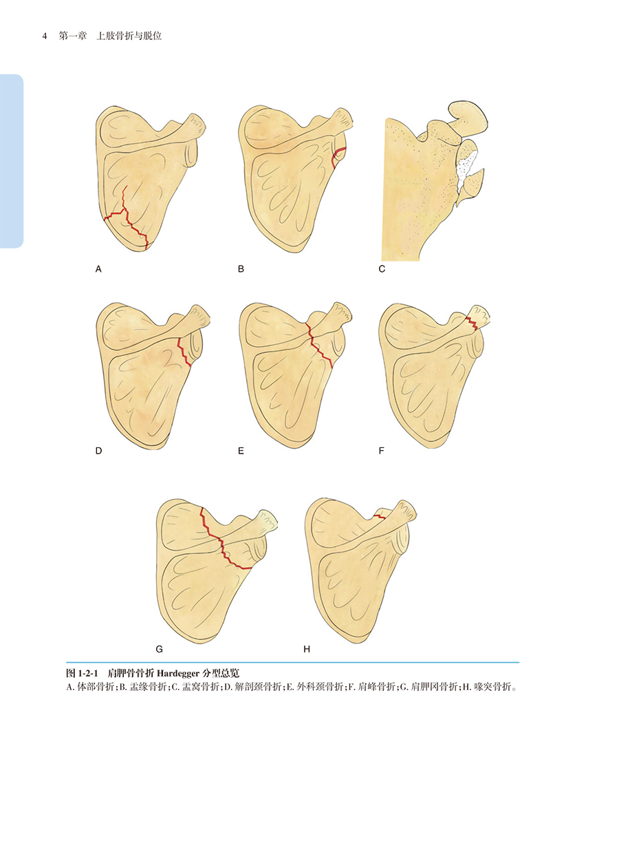33687(yz) (4).jpg