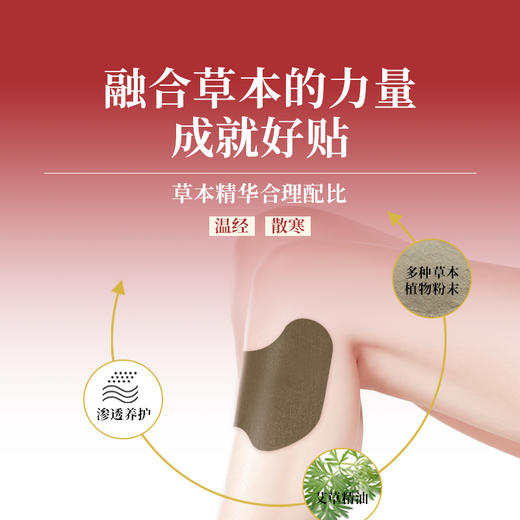 北京同仁堂艾草膝盖贴（12贴/盒) 商品图2