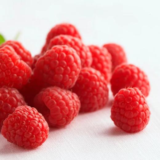 怡颗莓 红树莓（125g) 商品图3