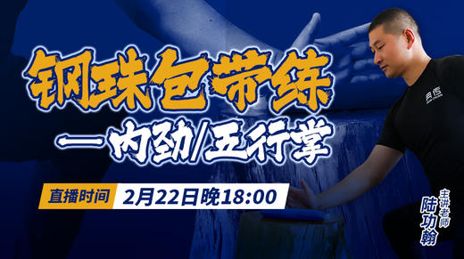 钢珠包直播带练——内劲/五行掌 商品图0