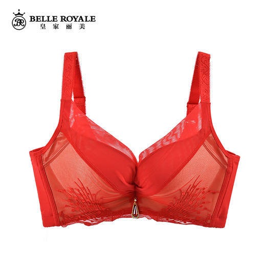 皇家丽美蕾丝收副乳聚拢调整型文胸WW1669-2 商品图2