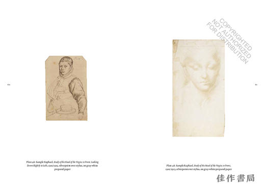 Drawing in Silver and Gold: Leonardo to Jasper Johns / 用银和金绘图：从达芬奇到贾斯珀·琼斯 商品图2