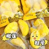 华狐飞兔金枕榴莲肉一袋（拼团） 商品缩略图7