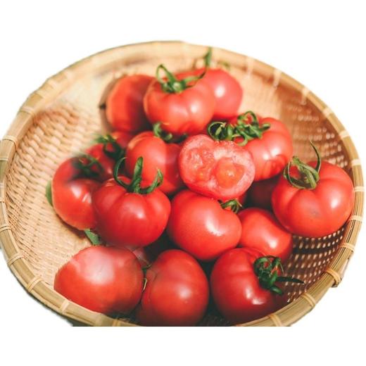 西红柿普罗旺斯沙瓤新鲜自然熟 儿时味道好吃水果西红柿番茄4.5斤 商品图4