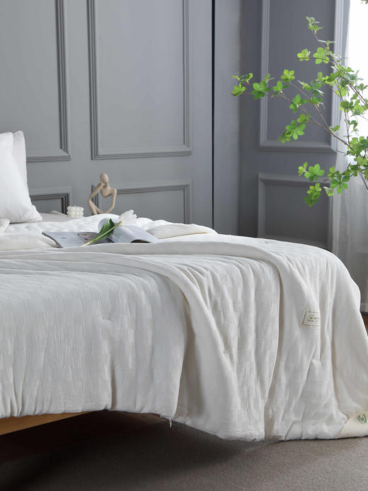 【远梦】植选大豆软软冬被 商品图3