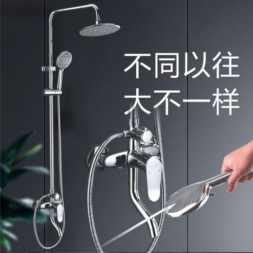 SQ：3796全铜艾伯特花洒 商品图0