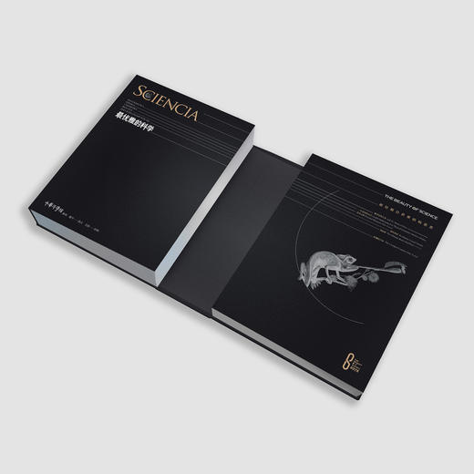 “科学之美”系列:《科学之美 最古老的学问》《科学之美 最优雅的科学》（全2册） 商品图4