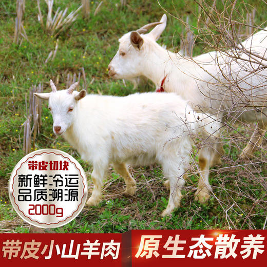 壹号餐桌大别山放养牛腩肉（2斤装）+切块山羊肉（2斤装）（冷冻发货~） 商品图8