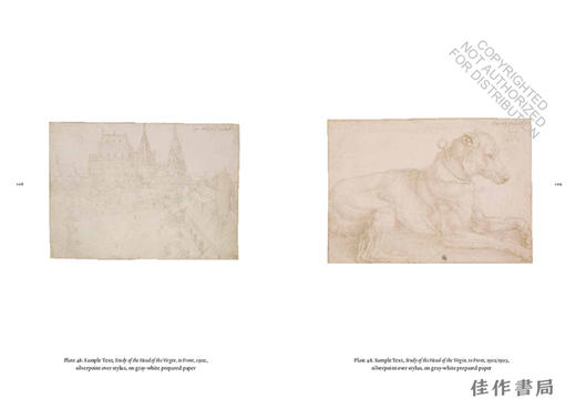 Drawing in Silver and Gold: Leonardo to Jasper Johns / 用银和金绘图：从达芬奇到贾斯珀·琼斯 商品图4