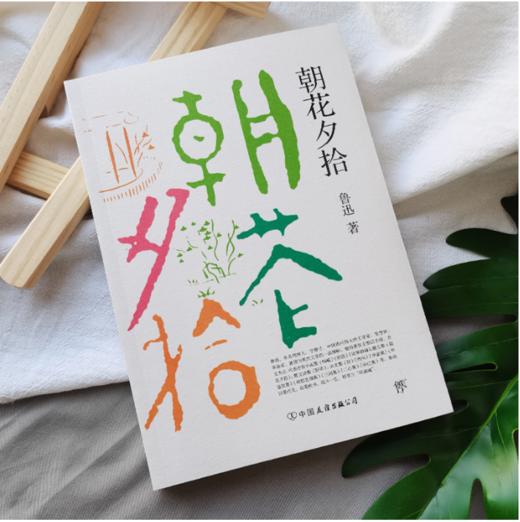 朝花夕拾 商品图2