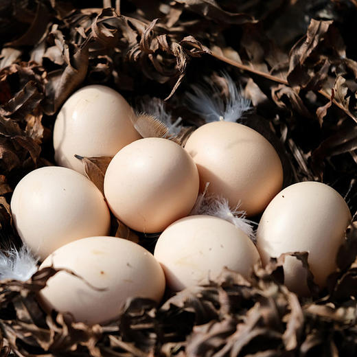 【山界】大邑斜源助农产品 农家粮食土鸡蛋 当天现捡 直达餐桌 高营养价值 商品图3