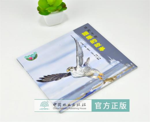 猎隼的故事 绿野仙踪 0260 马鸣 著 猎隼知识 隼类特征 生态习性 繁殖后代 捕食策略 保护 少儿科普读物 中国林业出版社 畅销书 商品图1