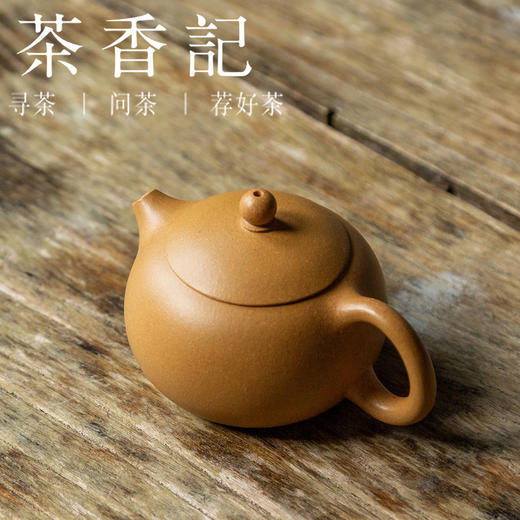 茶香记  紫砂壶 黄金段泥 小西施  圆润可爱 称手实用 茶壶 商品图1