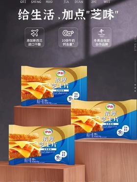 伊利芝士片经典原味166g