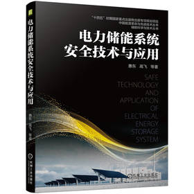 电力储能系统安全技术与应用（“十四五”时期国家重点出版物出版专项规划项目  中国能源革命与先进技术丛书  储能科学与技术丛书）重点讲述电力储能系统的安全问题和应对方案