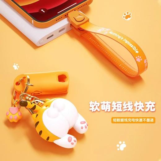  屁屁猫钥匙扣数据线苹果安卓type-c 商品图0