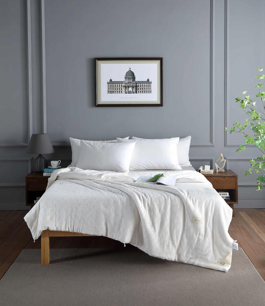 【远梦】植选大豆软软冬被 商品图1