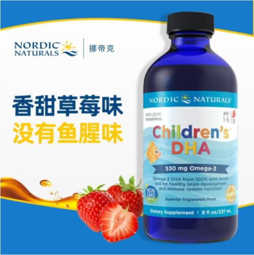 Nordic Naturals儿童鱼肝油 237ml 商品图1