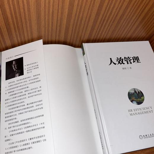 官方 人效管理 穆胜 公司管理人才绩效管理 人力资源战略企业管理书籍 商品图3