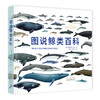 图说鲸类百科 全面系统有趣的鲸类百科全书90个鲸类物种全收录 商品缩略图0