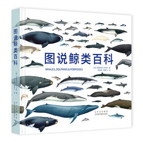 图说鲸类百科 全面系统有趣的鲸类百科全书90个鲸类物种全收录