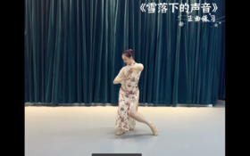 张老师《雪落下的声音》完整视频