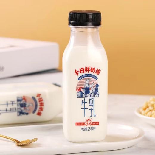 新希望今日鲜奶铺＆奶寻鲜酪乳纯牛奶早餐奶组合装 商品图7