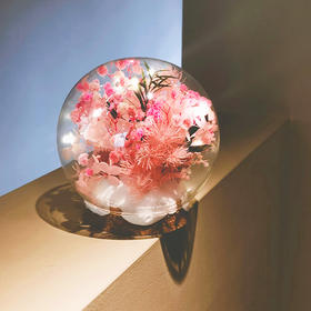 亲子手工永生花水晶球DIY