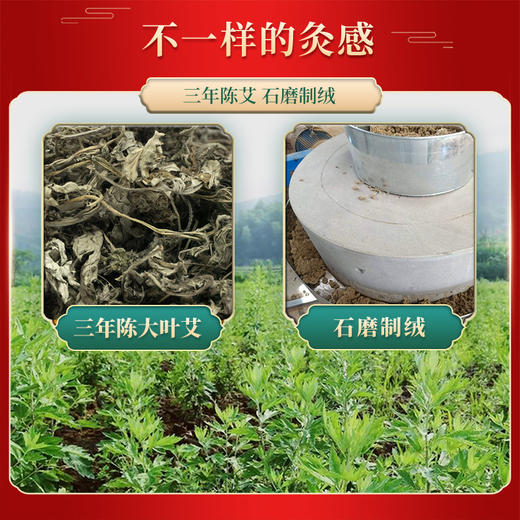 以艾为爱 单氏手工石磨艾条7cm 雷火灸 粗艾条 商品图2