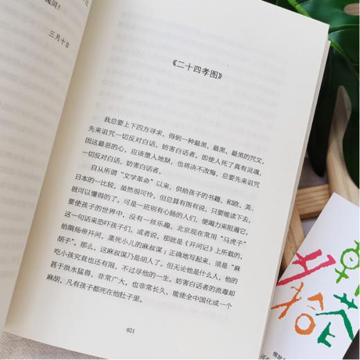 朝花夕拾 商品图4