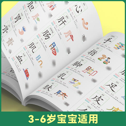 【斗半匠】学前识千字 象形字1314字 3-6岁幼小衔接 商品图4