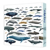 图说鲸类百科 全面系统有趣的鲸类百科全书90个鲸类物种全收录 商品缩略图1