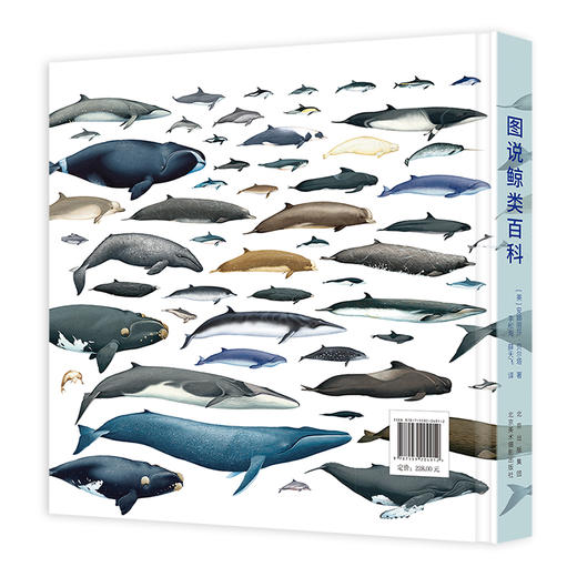 图说鲸类百科 全面系统有趣的鲸类百科全书90个鲸类物种全收录 商品图1