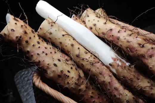 新鲜采挖 温县垆土铁棍山药 商品图2