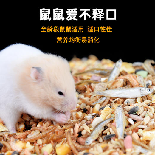 小宠小动物豪华粮1200ml 营养均衡 高蛋白 仓鼠粮食 饲料 不吃包退！ 商品图1