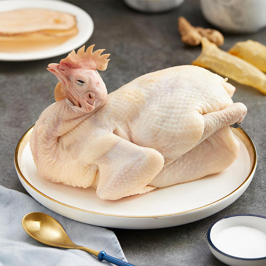 天农清远鸡皇后鸡1.2kg/只  长天龄生态慢养 清远鸡中的皇后鸡 商品图3