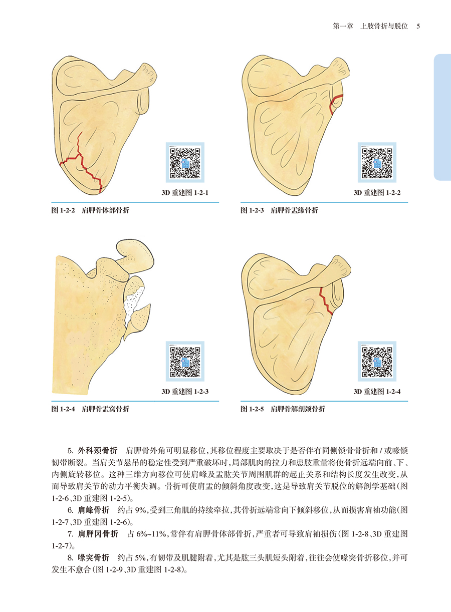 33687(yz) (5).jpg