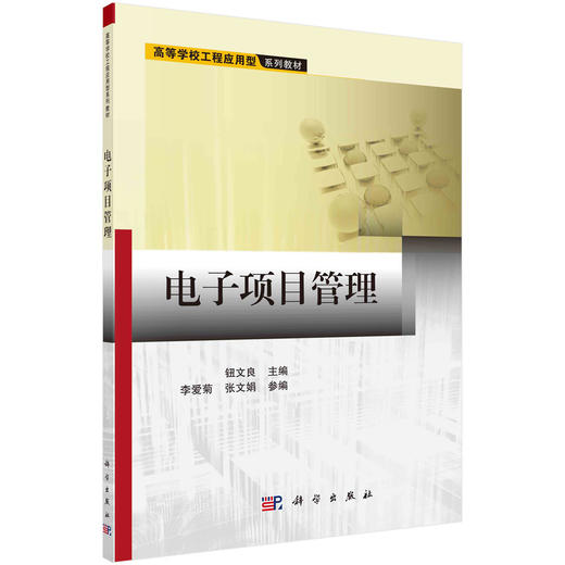 电子项目管理/钮文良 商品图0