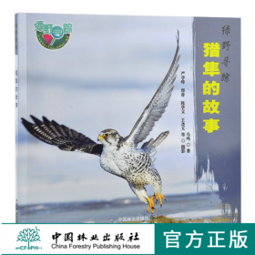 猎隼的故事 绿野仙踪 0260 马鸣 著 猎隼知识 隼类特征 生态习性 繁殖后代 捕食策略 保护 少儿科普读物 中国林业出版社 畅销书