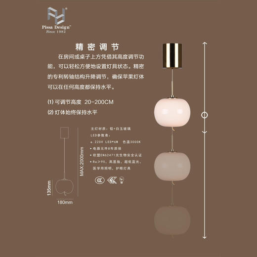 苹果灯NSLT-SU-N024010180TG*00，产地：中国，触摸开关，可调节亮度和高度。 商品图4