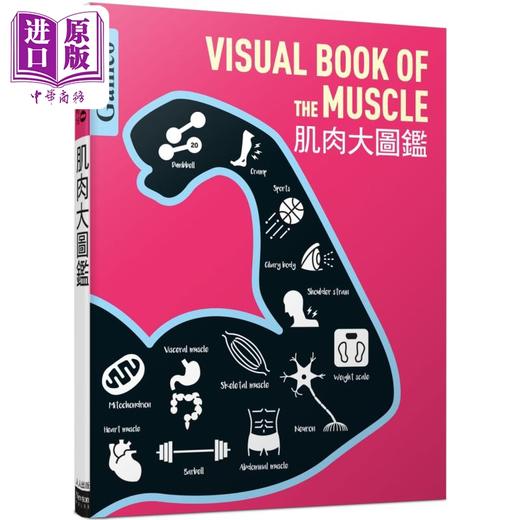 【中商原版】肌肉大图鉴 伽利略科学大图鉴16 港台原版 日本Newton Press 人人出版 商品图0