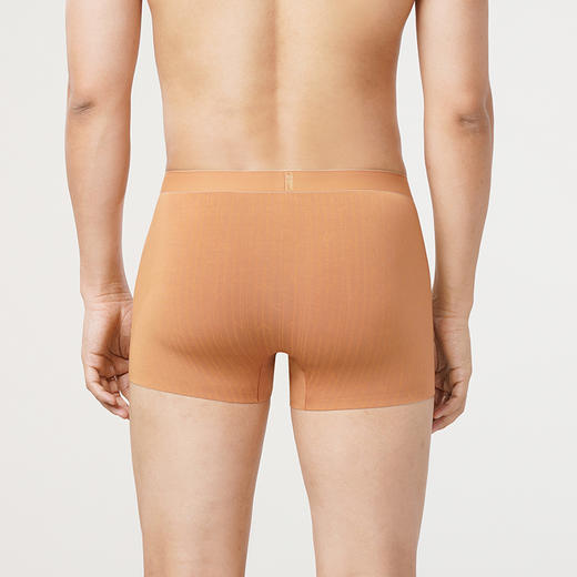 都市丽人都市锋尚铂金舒适60S木莱尔平角裤男士内裤FK34A6 商品图2